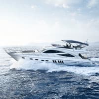�������� VIP ���� Sealine - �60